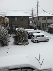 rps20140208_081211_970