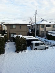 rps20140209_073322_609