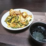 今夜の晩酌 ゴーヤーチャンプルーを作って一杯