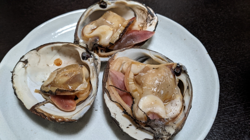 今夜の晩酌 ほっき貝を焼いて一杯 まさの日常